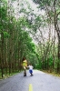 6_oct-_29_2007_mommie_and_ld_on_road_with_rubber_trees10-24-2011