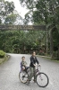 cat-and-ld-under-sighn-in-park-malaysia10-24-2011