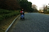 cat_strolling_ld_in_imperial_park_tokyo_japan_dec_2007