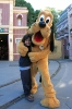 dscn805110-24-2011