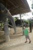 img_101810-24-2011