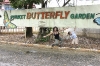 img_287610-24-2011