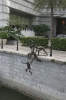 img_530210-24-2011