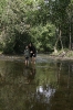 img_690710-24-2011