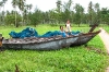 ld-and-cat-on-canoe-sitting-in-the-grass-phuket10-24-2011