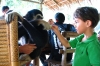 phuket-03210-24-2011