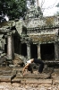 siem_reap_cambodia_cat_sanson_arch_at_ta_prohm_temple_feb_2008