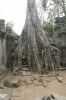 img_568510-23-2011