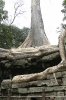 img_570010-23-2011