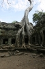 img_570810-23-2011