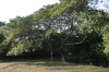 img_582810-23-2011