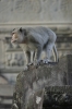 img_597410-23-2011