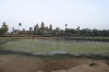img_598810-23-2011