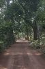img_671110-23-2011