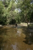 img_690610-23-2011