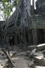 img_696510-23-2011
