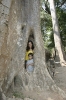 img_744510-23-2011