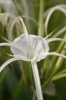img_810710-23-2011