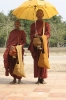 img_832510-23-2011