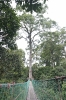 img_859710-23-2011