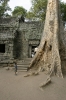 lake-dwellings-17610-17-2011